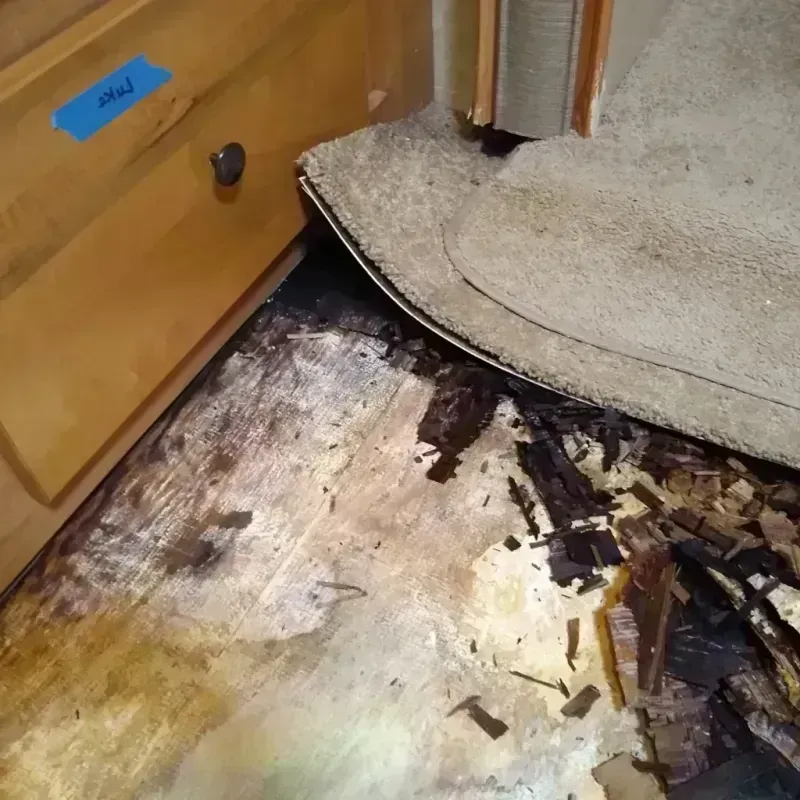 Wood Floor Water Damage in Hugo, MN